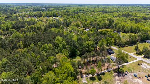Tiny photo for 2 Foy Locamy Road, Jacksonville, NC 28540 (MLS # 100566627)