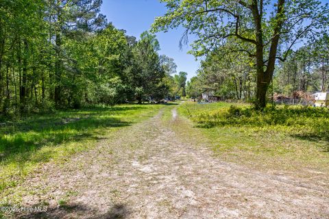 Tiny photo for 2 Foy Locamy Road, Jacksonville, NC 28540 (MLS # 100566627)