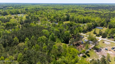 Tiny photo for 2 Foy Locamy Road, Jacksonville, NC 28540 (MLS # 100566627)