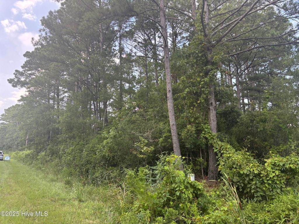 Photo of 2198 River Street SW, Supply, NC 28462 (MLS # 100521731)