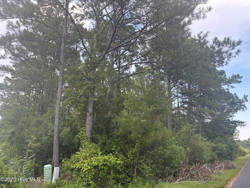 Photo of 2198 River Street SW, Supply, NC 28462 (MLS # 100521731)