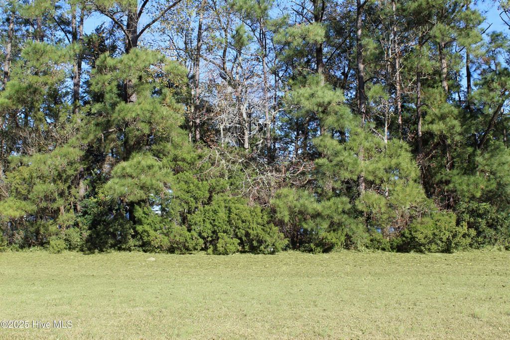 Photo of 113 Waterway Drive, Havelock, NC 28532 (MLS # 100544783)