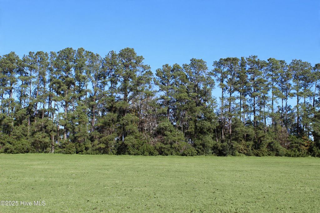 Photo of 113 Waterway Drive, Havelock, NC 28532 (MLS # 100544783)