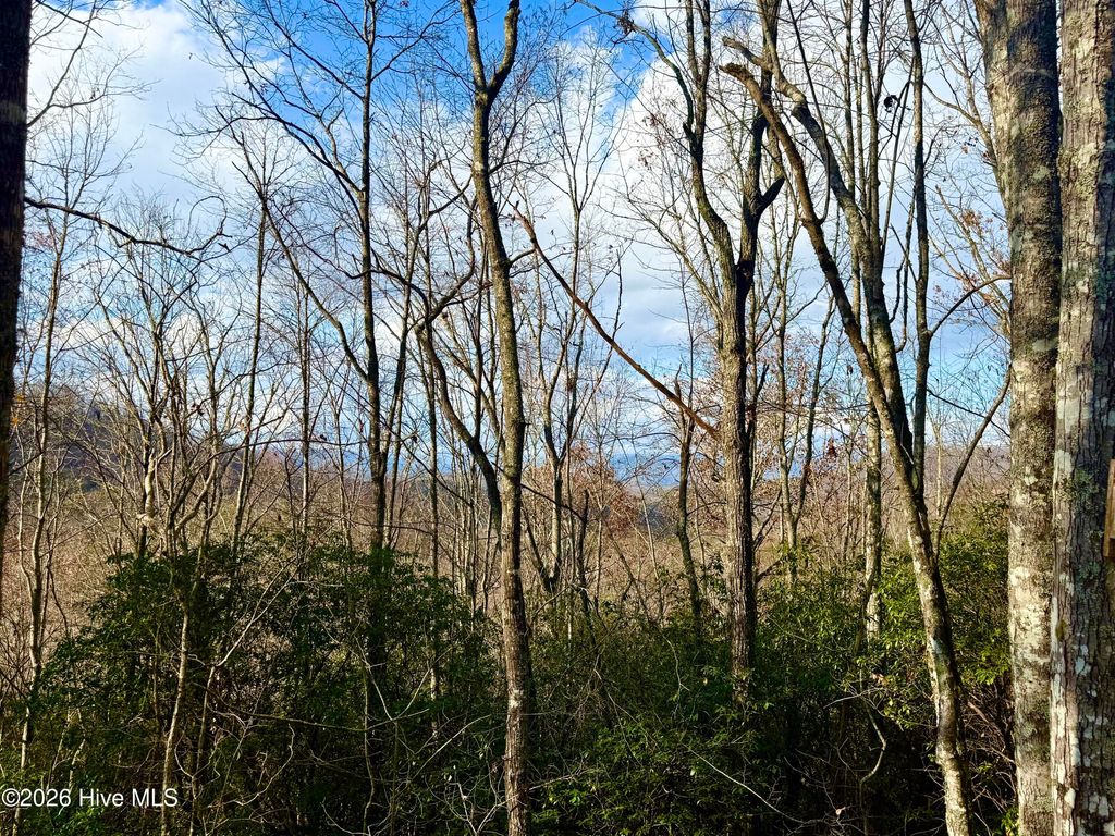 Photo of 00 Ridgeline Drive, Brasstown, NC 28902 (MLS # 100581817)
