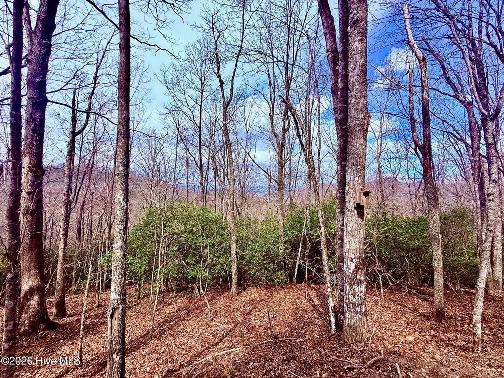 Photo of 00 Ridgeline Drive, Brasstown, NC 28902 (MLS # 100581817)