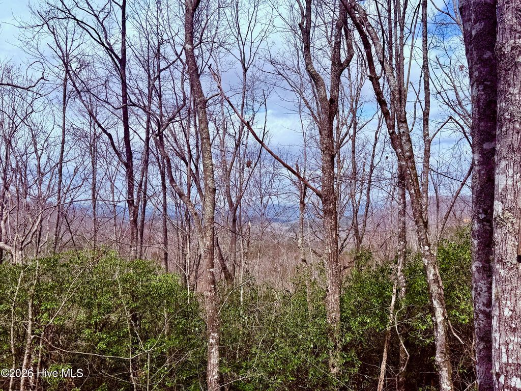 Photo of 00 Ridgeline Drive, Brasstown, NC 28902 (MLS # 100581817)