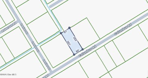 Tiny photo for 316 Columbus Road, Boiling Spring Lakes, NC 28461 (MLS # 100555535)