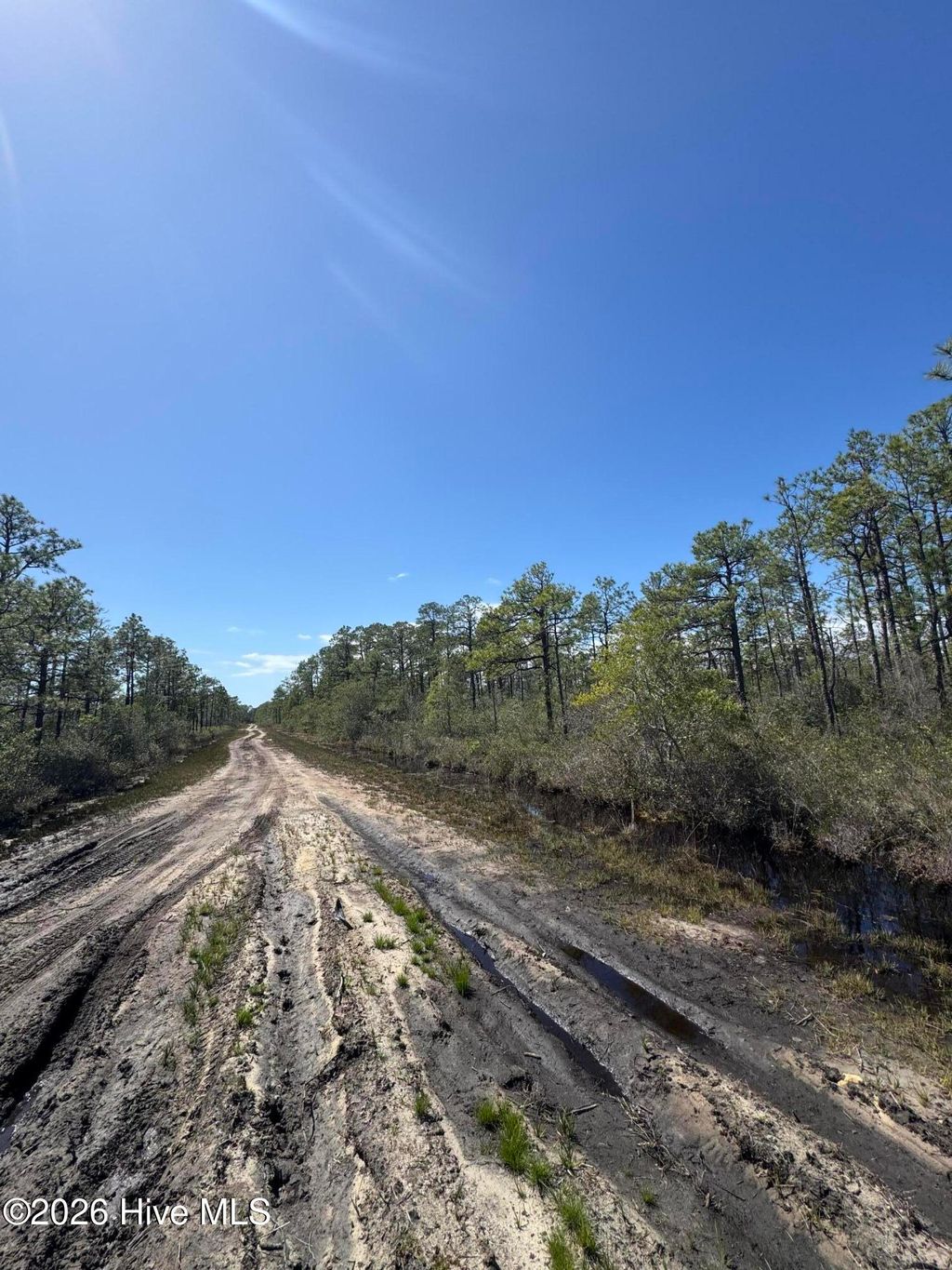 Photo of 316 Columbus Road, Boiling Spring Lakes, NC 28461 (MLS # 100555535)