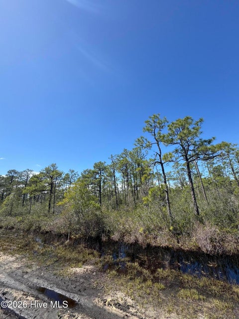 Vacant Land For Sale - LOT 316 Columbus Road<br/> Boiling Spring Lakes, NC 28461