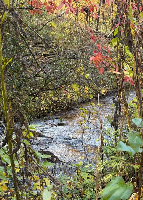 Vacant Land For Sale - LOT 62 & Creek Lot A, Stone Ridge Falls Subdivision<br/> Murphy, NC 28906