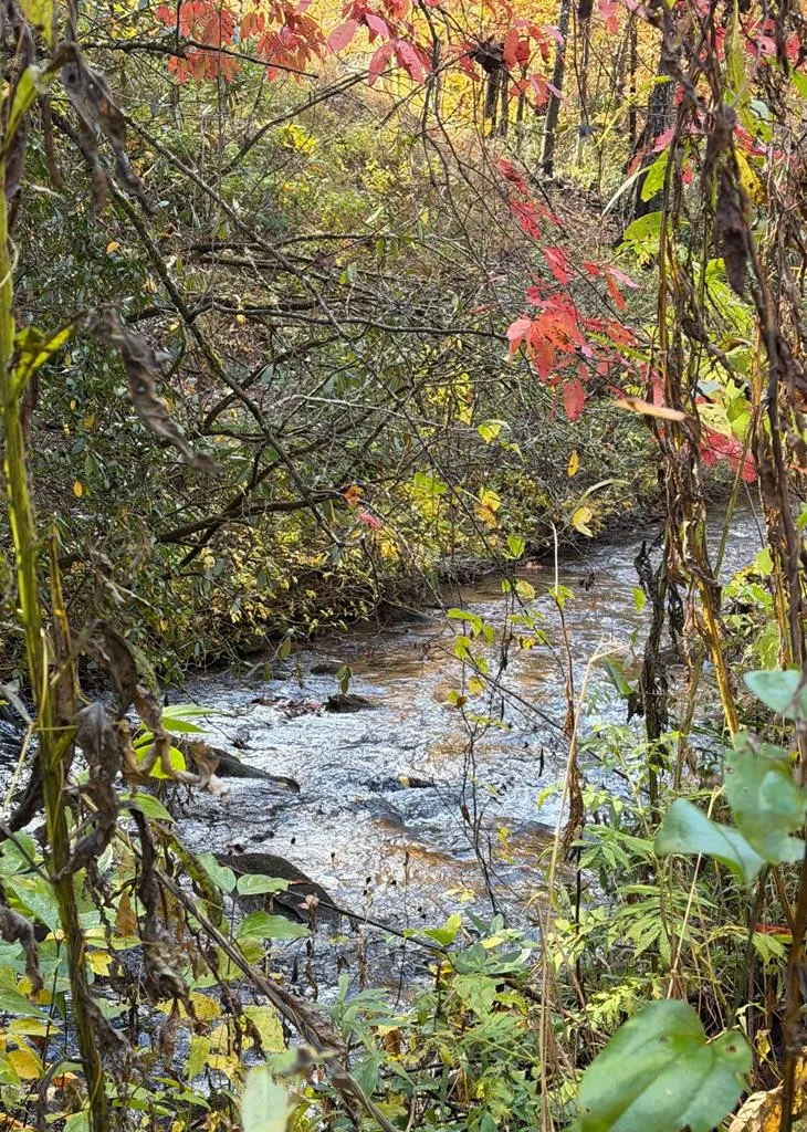 Lot 62 & Creek Lot A, Stone Ridge Falls
