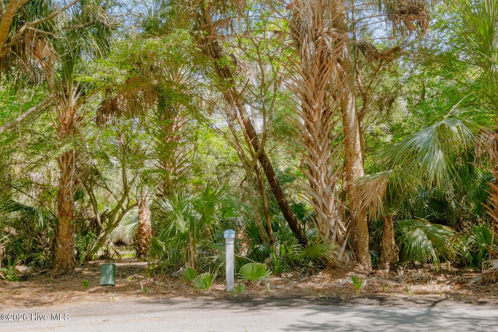 Photo of 4 Gray Fox Court, Bald Head Island, NC (MLS # 100573026)