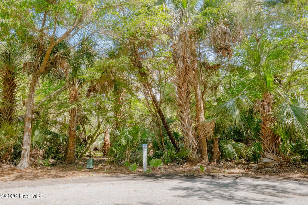 Photo of 4 Gray Fox Court, Bald Head Island, NC (MLS # 100573026)