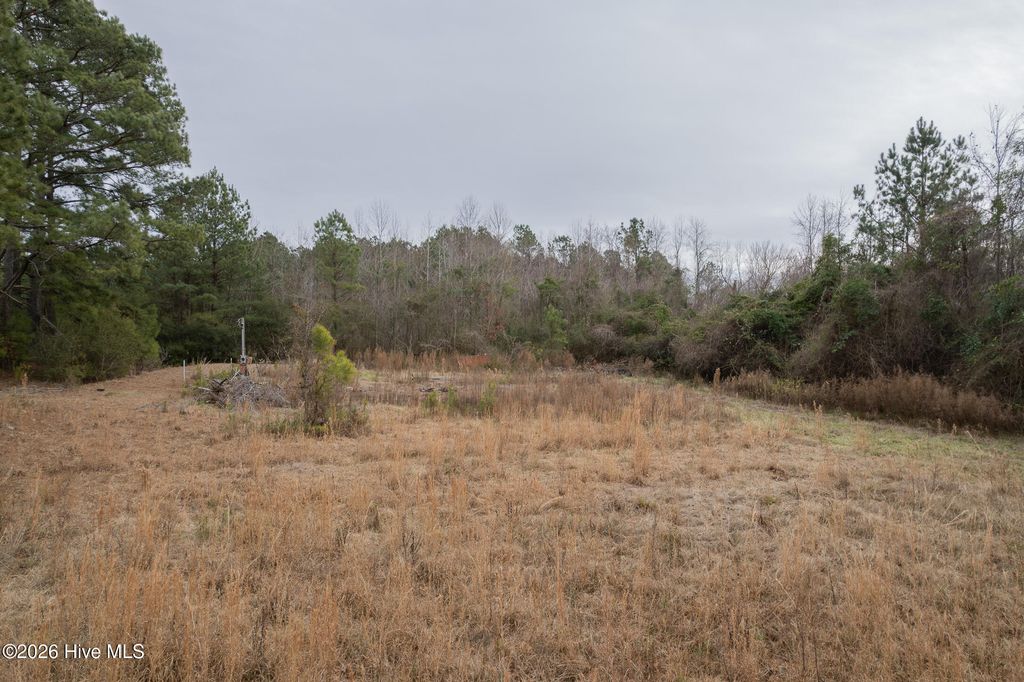 Photo of 711 Tuscarora Rhems Road, New Bern, NC 28562 (MLS # 100553809)