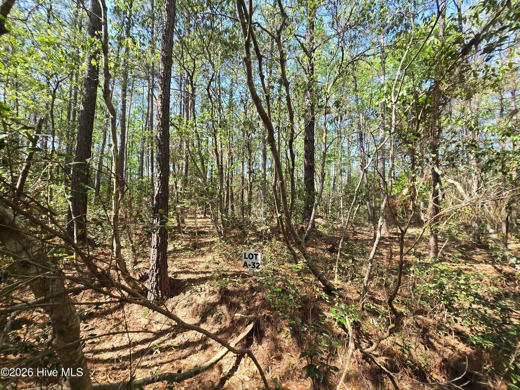 Photo of 32 Renee Drive, Hampstead, NC 28443 (MLS # 100567150)