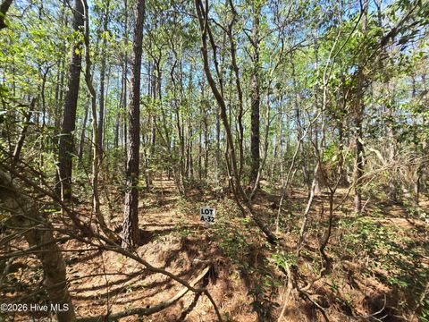 Tiny photo for 32 Renee Drive, Hampstead, NC 28443 (MLS # 100567150)