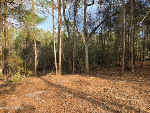 Tiny photo for 328 Ace Lane, Swansboro, NC 28584 (MLS # 100548381)