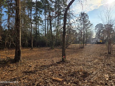 Tiny photo for 328 Ace Lane, Swansboro, NC 28584 (MLS # 100548381)