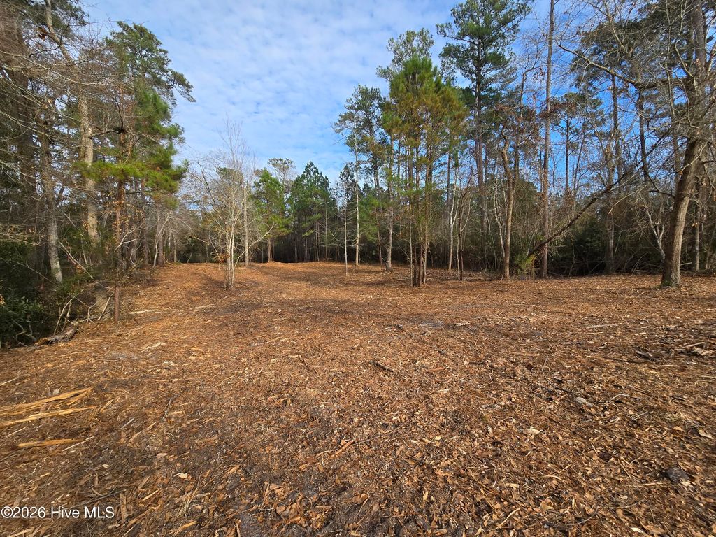 Photo of 328 Ace Lane, Swansboro, NC 28584 (MLS # 100548381)