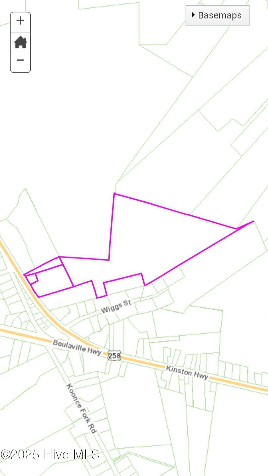 Photo of 978 Kinston Highway, Richlands, NC 28574 (MLS # 100540354)