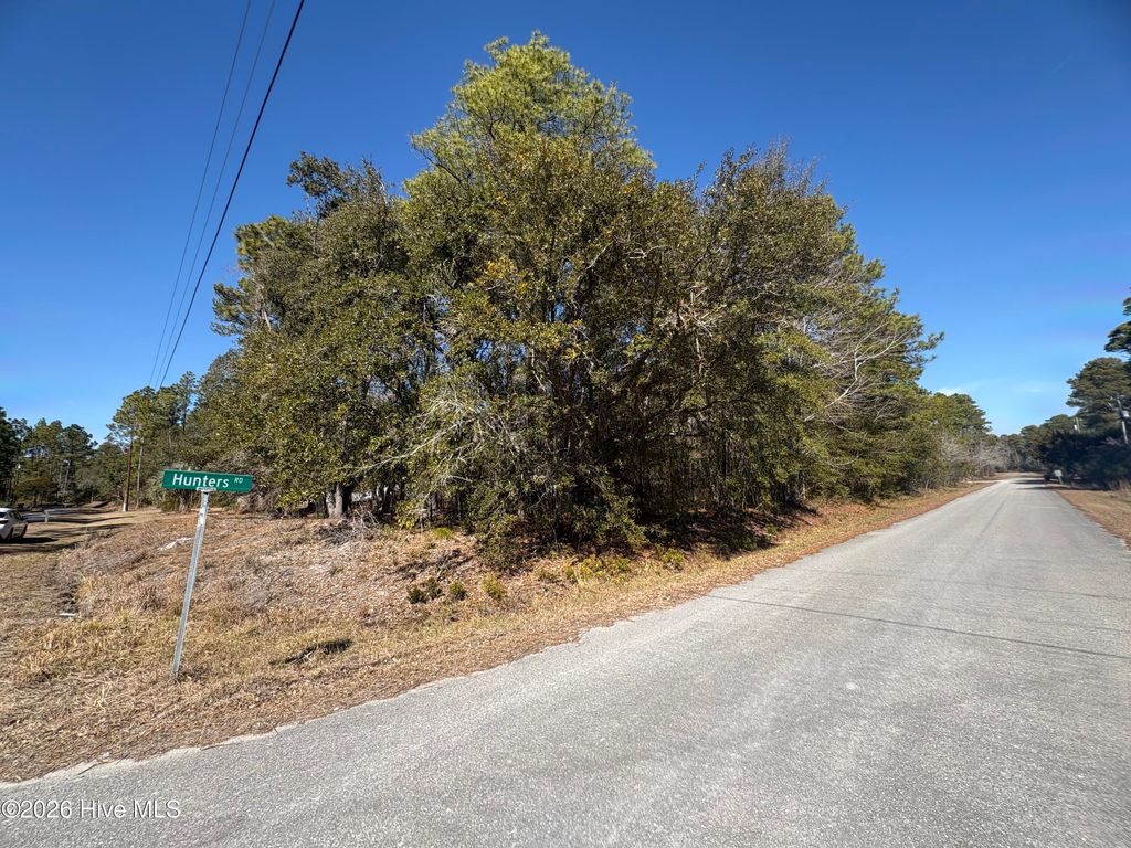 Photo of 1 Maple Road, Boiling Spring Lakes, NC 28461 (MLS # 100554712)