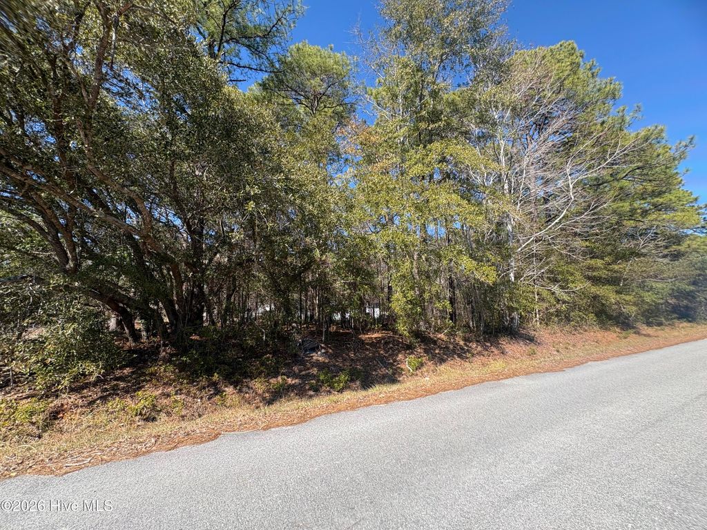 Photo of 1 Maple Road, Boiling Spring Lakes, NC 28461 (MLS # 100554712)