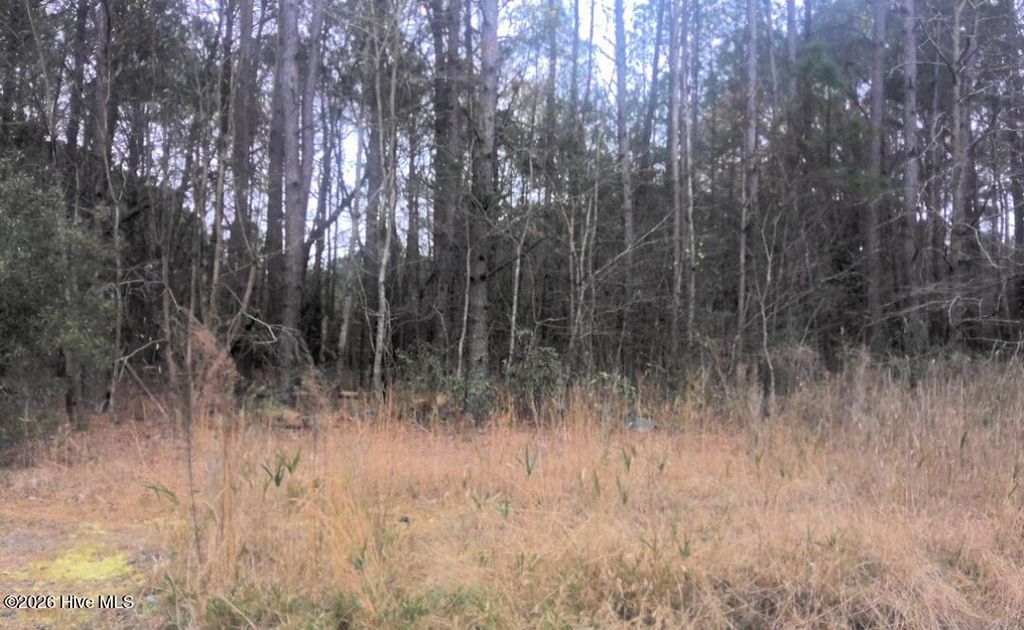 Photo of 55 Mable Street, Kinston, NC 28504 (MLS # 100571136)