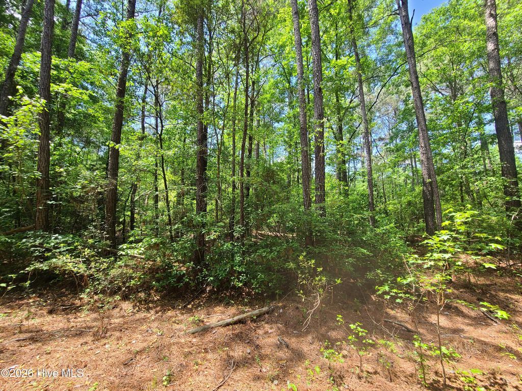 Photo of 55 Mable Street, Kinston, NC 28504 (MLS # 100571136)