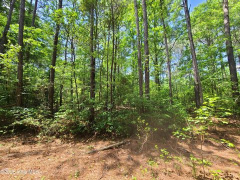 Vacant Land For Sale - 55 Mable Street<br/> Kinston, NC 28504