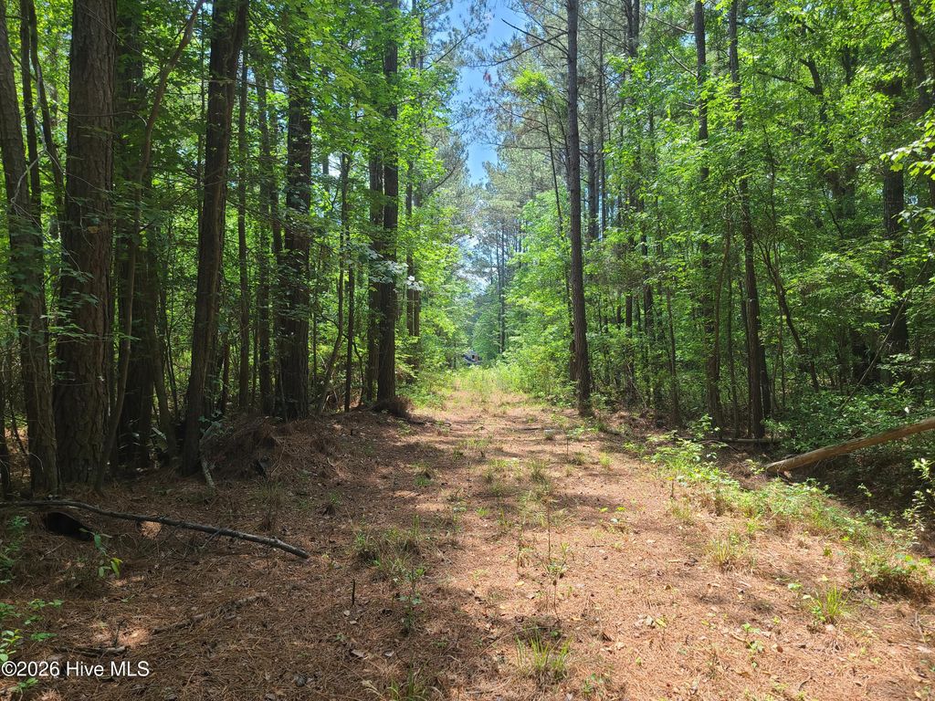 Photo of 55 Mable Street, Kinston, NC 28504 (MLS # 100571136)