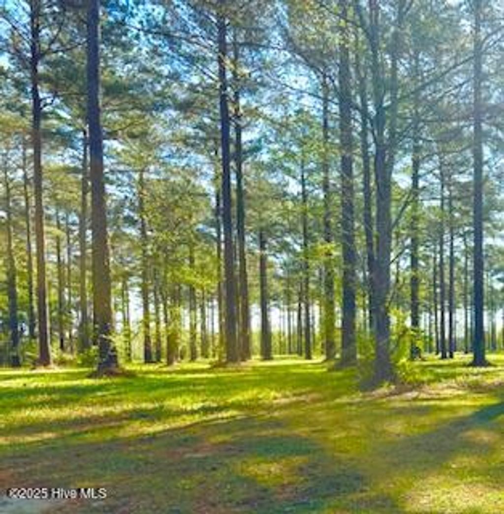 Photo of 218 Cassie May Boulevard, Oriental, NC 28571 (MLS # 100500432)