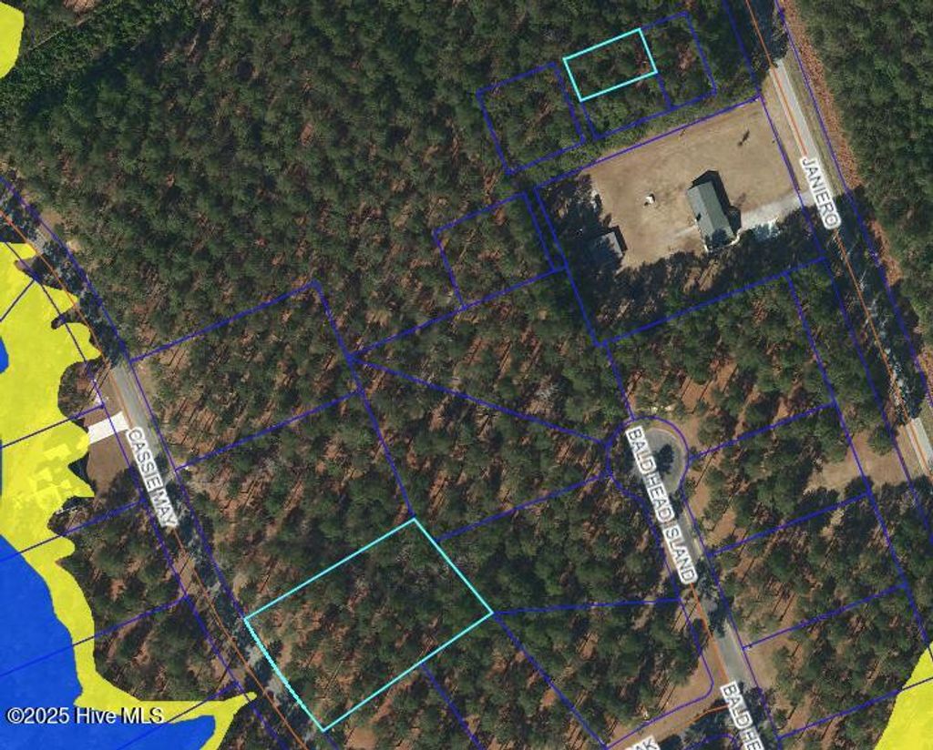 Photo of 218 Cassie May Boulevard, Oriental, NC 28571 (MLS # 100500432)