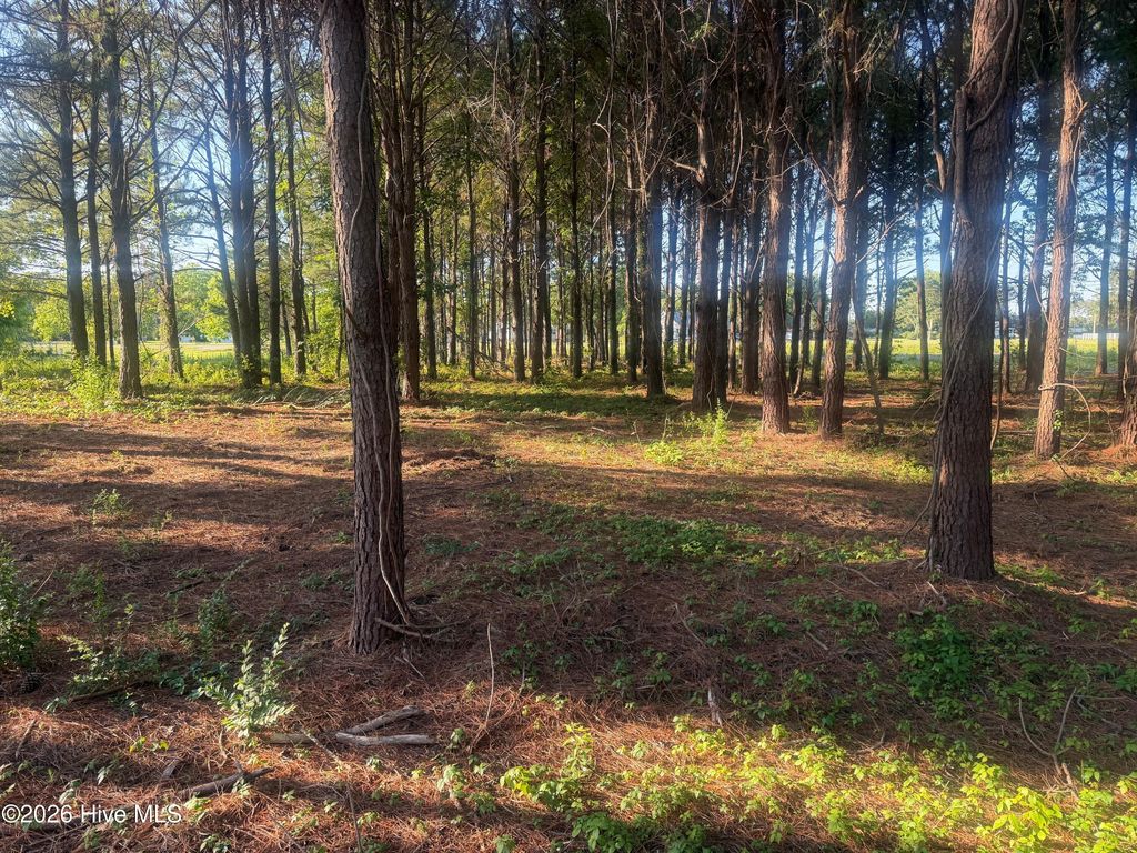 Photo of 110 Turnstone Way, Beaufort, NC 28516 (MLS # 100574910)
