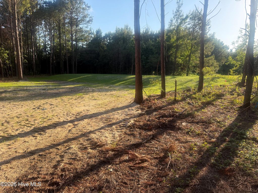 Photo of 110 Turnstone Way, Beaufort, NC 28516 (MLS # 100574910)