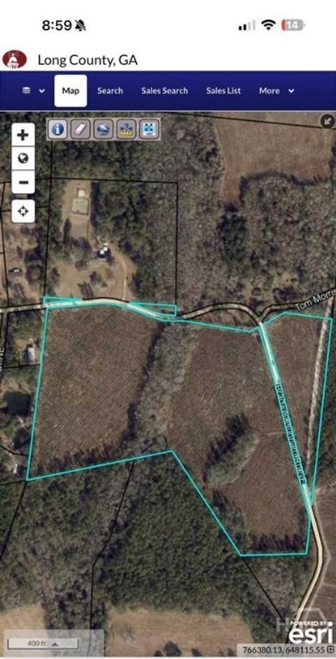 Vacant Land For Sale - 1 Bradwell Dunham Road<br/> Long County, Ludowici, GA 31316