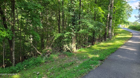 Vacant Land For Sale - LOT 9 Peachtree Hills Lane<br/> Murphy, NC 28906