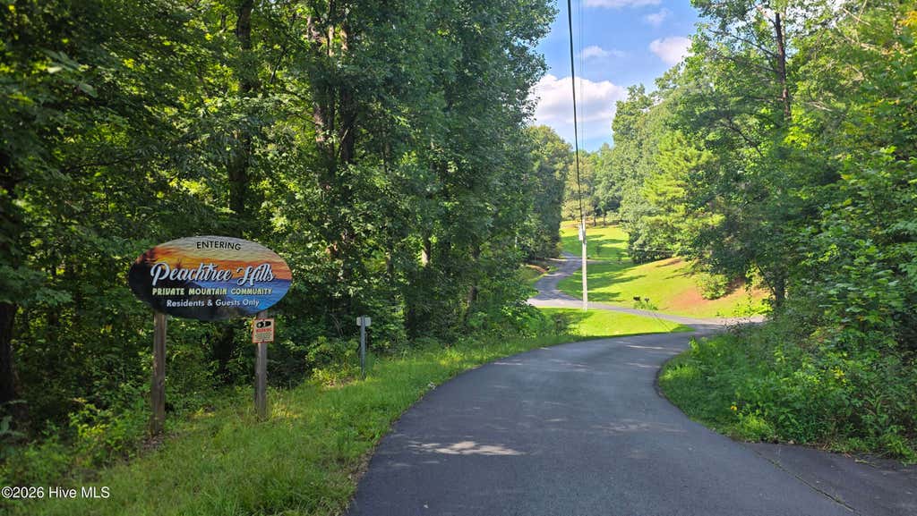 Photo of 9 Peachtree Hills Lane, Murphy, NC 28906 (MLS # 100597899)