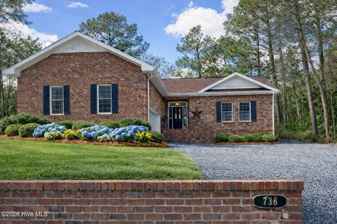 Photo of 736 Ginseng Drive, Vass, NC 28394 (MLS # 100560264)