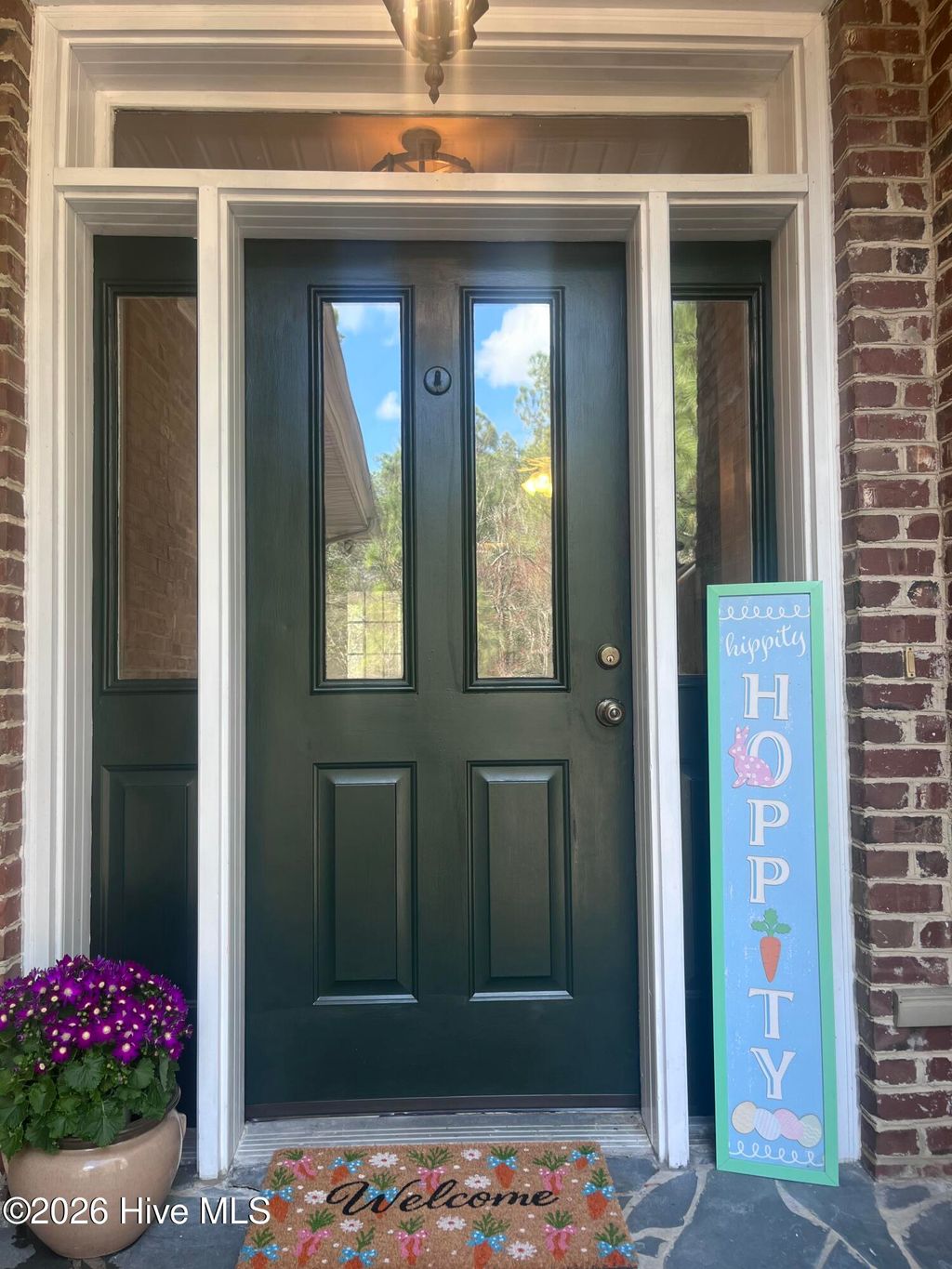 Photo of 736 Ginseng Drive, Vass, NC 28394 (MLS # 100560264)