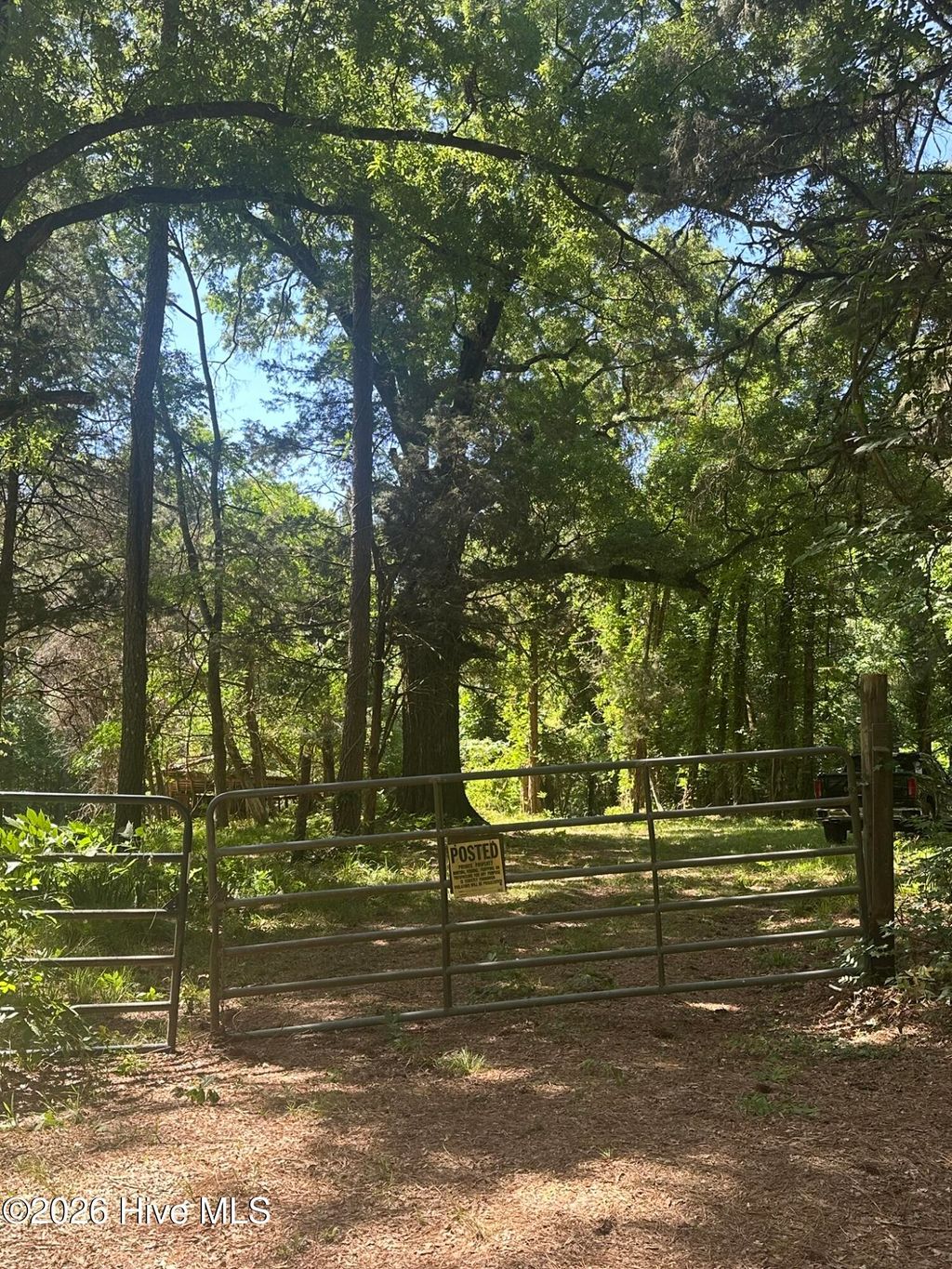 Photo of 4 Saggus Road, Washington, GA (MLS # 100573053)