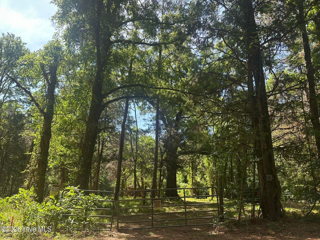 Photo of 4 Saggus Road, Washington, GA (MLS # 100573053)