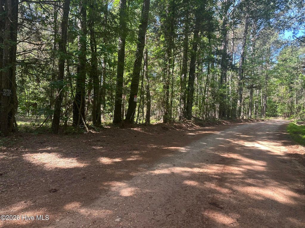 Photo of 4 Saggus Road, Washington, GA (MLS # 100573053)