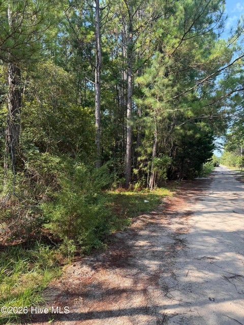 Tiny photo for 2853 Robin Drive SW, Shallotte, NC 28470 (MLS # 100598843)
