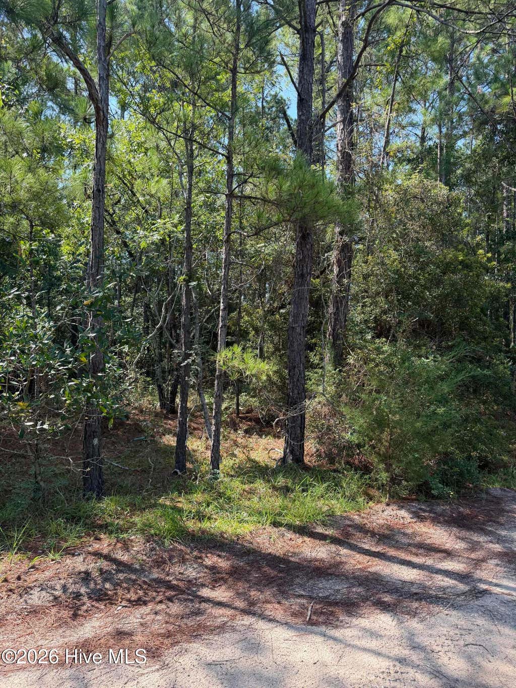 Photo of 2853 Robin Drive SW, Shallotte, NC 28470 (MLS # 100598843)