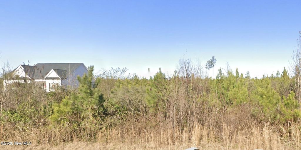 Photo of 1 W Old Spring Hope Road, Spring Hope, NC 27882 (MLS # 100557796)