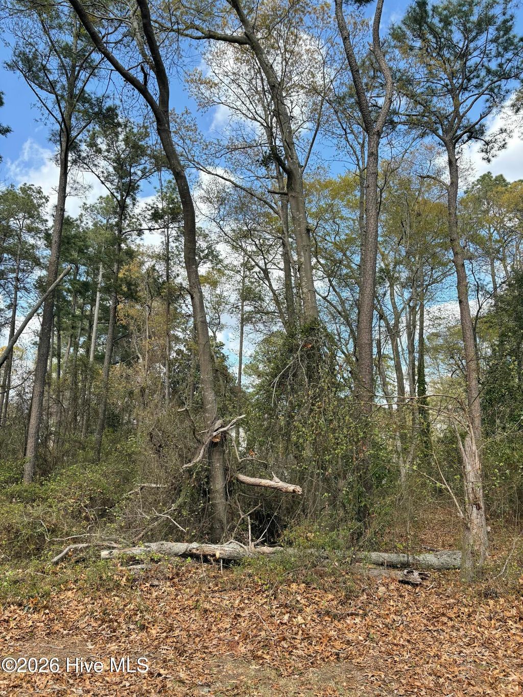 Photo of 121123 Pueblo Trail, Edenton, NC 27932 (MLS # 100564396)