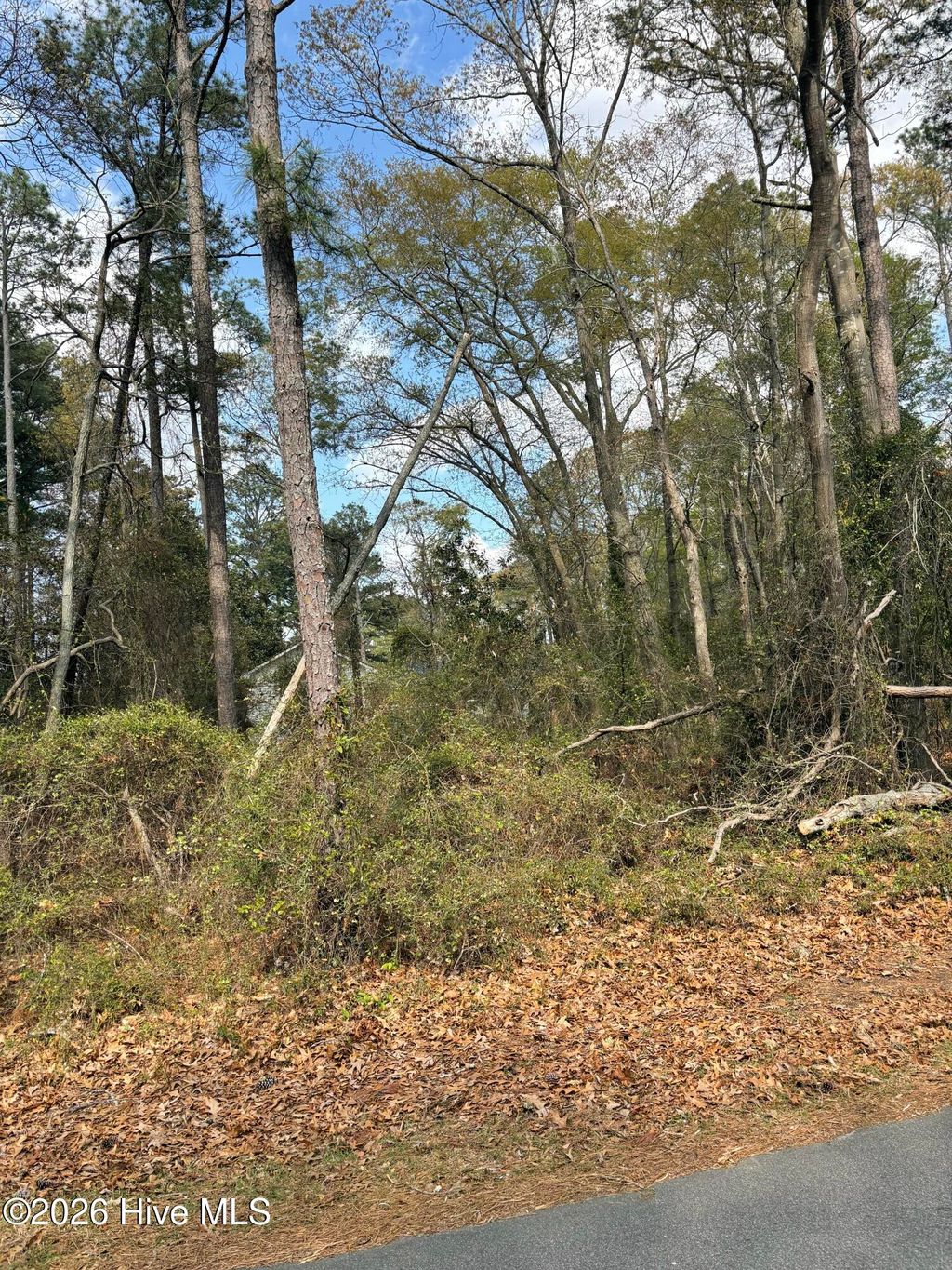 Photo of 121123 Pueblo Trail, Edenton, NC 27932 (MLS # 100564396)