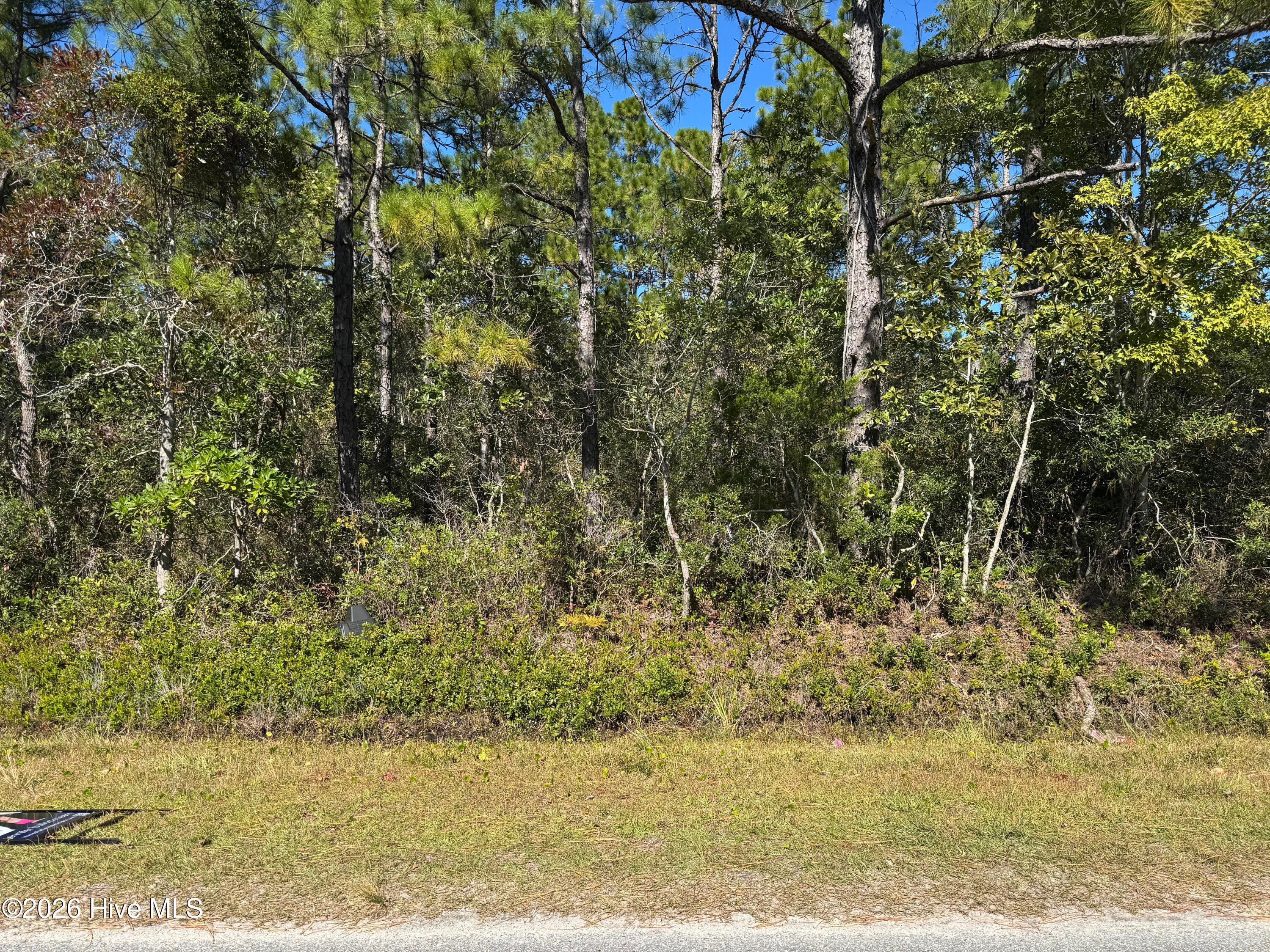 271 Charlestown Road, Boiling Spring Lakes, NC, 28461 - Karen Thomas ...