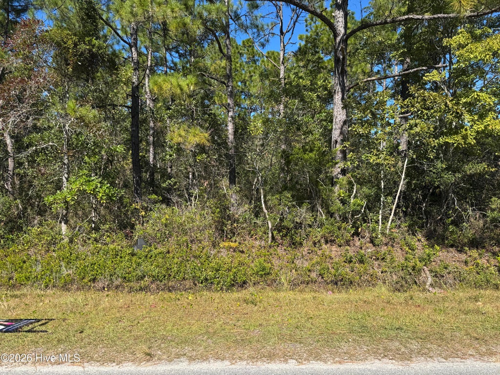 Photo of 271 Charlestown Road, Boiling Spring Lakes, NC 28461 (MLS # 100612535)