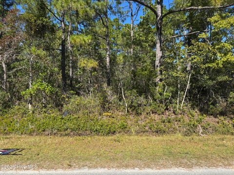 Tiny photo for 271 Charlestown Road, Boiling Spring Lakes, NC 28461 (MLS # 100612535)